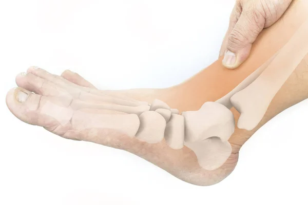 foot-bones-pain